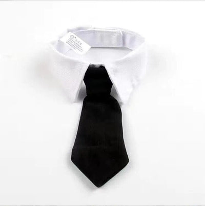 https://cdn.shopify.com/s/files/1/0489/2898/1148/files/S6efc4fa800134a2e87bf2053ddb68ee4Z.jpg?v=1695912534