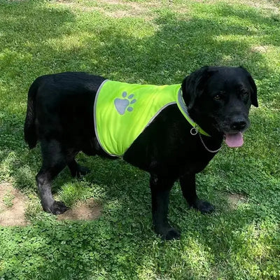 Gilet de Sécurité Réfléchissant Haute Visibilité pour Chien