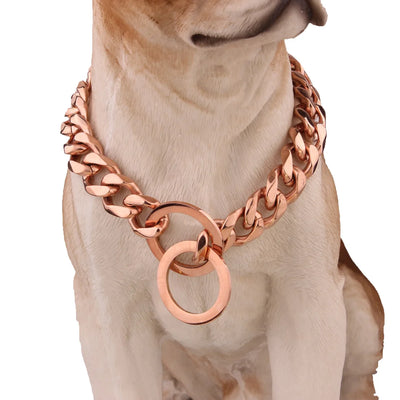 Collier Chaîne Gourmette Dorée Bouledogue Pitbull 25 à 76 cm