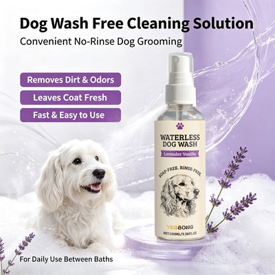 Shampoing Sec Spray pour Chien Lavande Vanille 100 ml