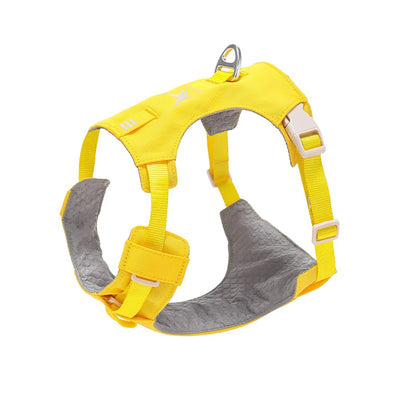 Ensemble Harnais et Laisse Assortis Anti-Traction Chien