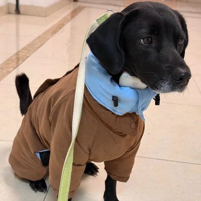 Manteau d'Hiver Réversible Lévrier Whippet