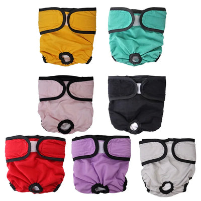 Couche pour Chien en Chaleur Lavable Scratch Jusqu'à 65 cm