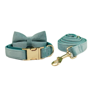 Collier et Laisse Velours Vert Plaque Gravée Chien
