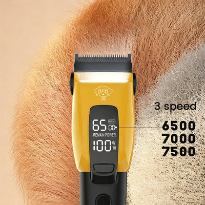 Tondeuse pour Chien Professionnelle Sans Fil 2000 mAh
