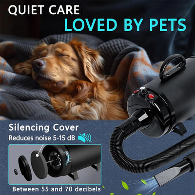 Sèche-Cheveux Professionnel Gros Chien 2800W
