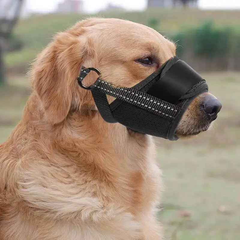 Muselière Chien Anti-Aboiement Souple Respirante Grand Chien