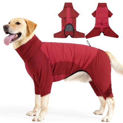 Manteau Intégral Coupe-Vent Chien Col Roulé