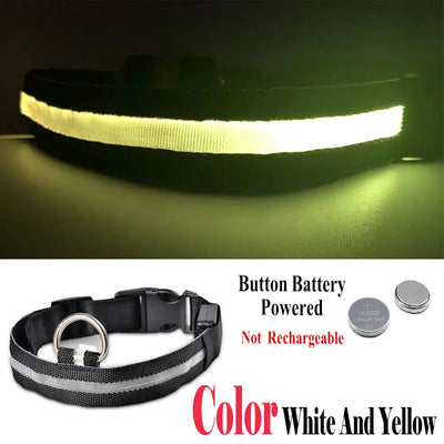 Collier Lumineux LED USB pour Chien