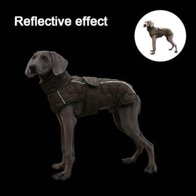 Manteau Hiver Coupe-Vent Réfléchissant Gros Chien