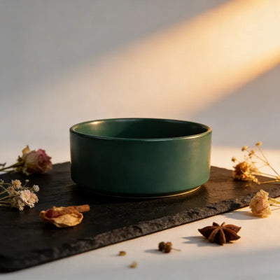 Gamelle Surélevée Chien Céramique Support Bois Six Coloris