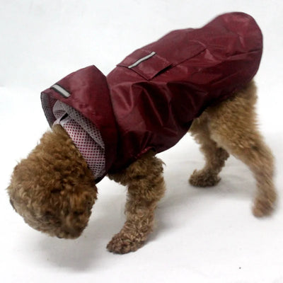 Manteau Imperméable à Capuche Chien Extérieur