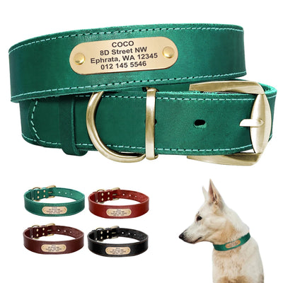 Collier Cuir Plaque d'Identification Gravée Chien Pitbull