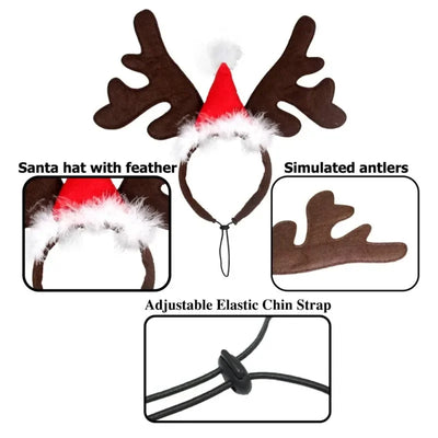 Accessoires de Noel pour Chien Renne