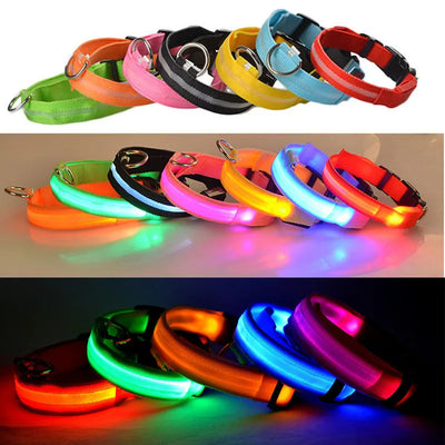 Collier Lumineux LED USB pour Chien