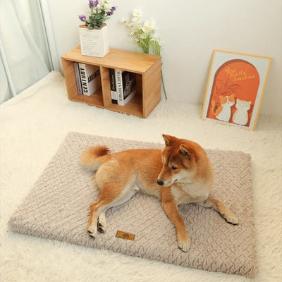 Matelas Orthopédique pour Chien Mémoire de Forme Housse Amovible