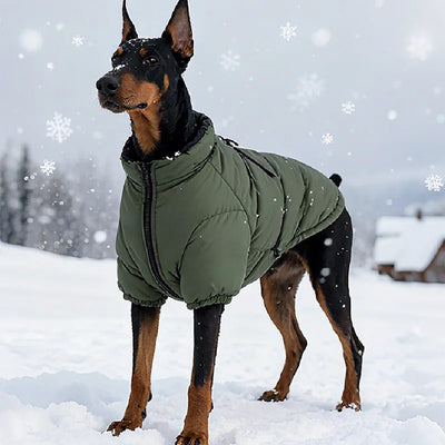 Manteau Polaire Chaud Grand Chien Husky Labrador