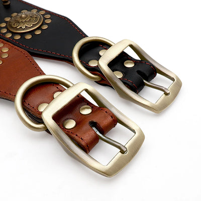 Collier Cuir Clouté Pointes Réglables Berger Allemand Pitbull