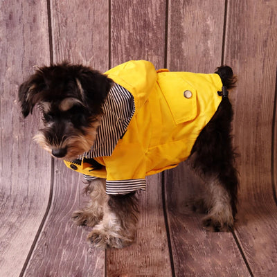 Manteau Imperméable Jaune à Capuche Coupe-Vent pour Chien