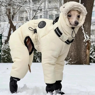 Manteau Chien Doudoune Combinaison Capuche Sherpa Lévrier