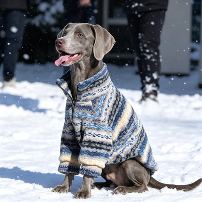 Pull Col Roule Chien Moyen Grand Gabarit