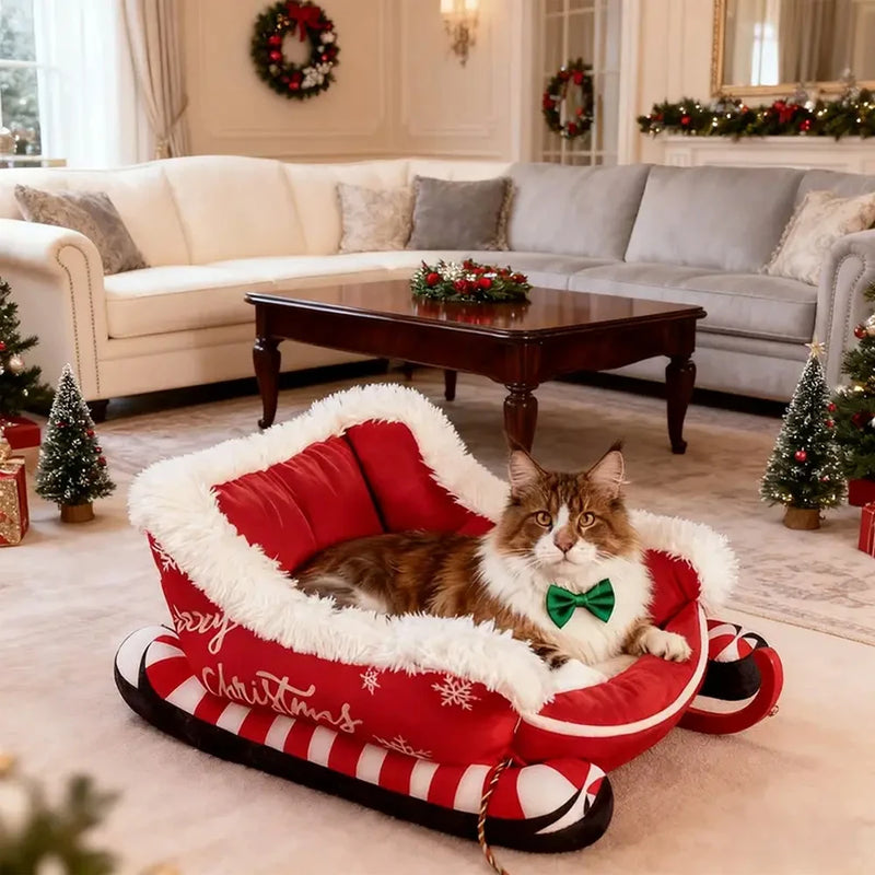 Panier Traîneau de Noël Chien Petit Format