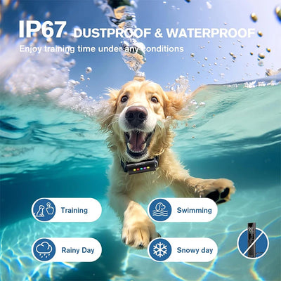 Collier Dressage 1600ft IP67 Étanche Gros Chien