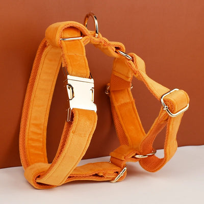 Collier et Laisse Velours Orange Personnalisé Chien