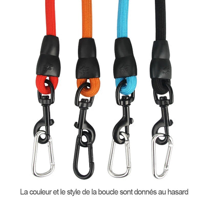 Longe Dressage Gros Chien 5m 10m