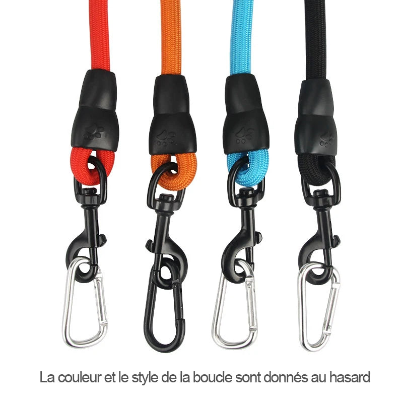 Longe Dressage Gros Chien 5m 10m