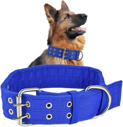 Collier Large Militaire Boucle Métal Double Rangée Chien
