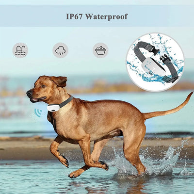 Collier Anti-Aboiement LED Gros Chien Intelligent
