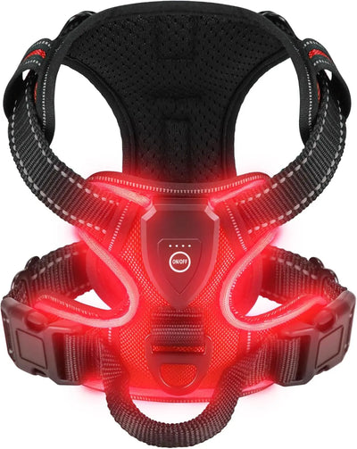 Harnais Lumineux LED pour Chien Sécurité Nocturne