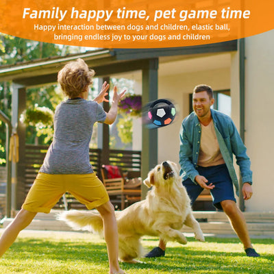 Balle Tennis Football Couineuse Gros Chien