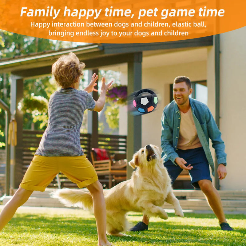 Balle Tennis Football Couineuse Gros Chien
