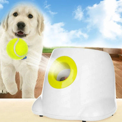 Lanceur de Balle Chien Automatique sur Secteur 3 Distances