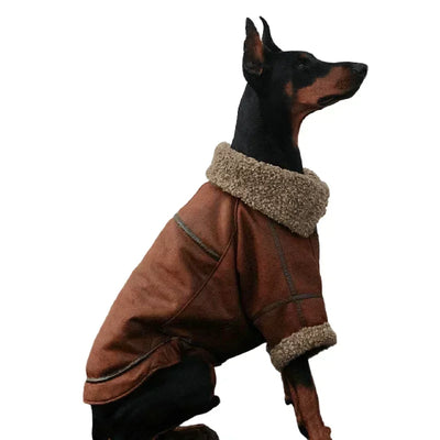 Manteau XXL Veste Hiver Très Gros Chien