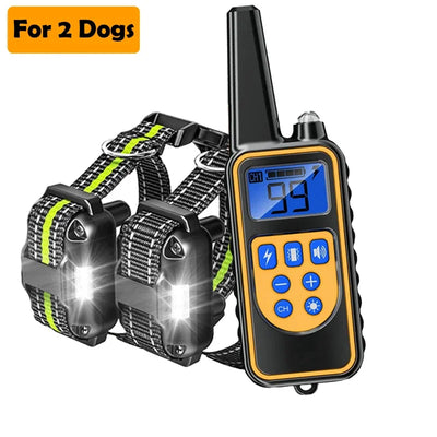 Collier Dressage LCD 800m Étanche Gros Chien