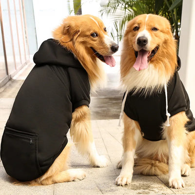Sweat à Capuche Chien Poche Zippée Grand Format