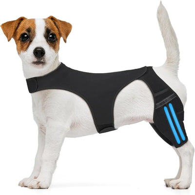 Attelle Genouillère Chien Réglable Bandes Réfléchissantes