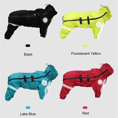 Manteau Pluie Réfléchissant Combinaison Gros Chien