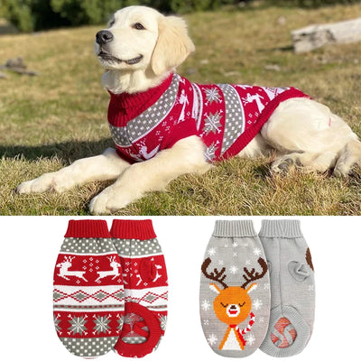 Pull de Noël Tricoté Renne Chien Golden Retriever