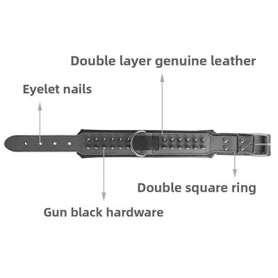Collier Cuir Véritable Clouté Pointes Anti-Morsure Gros Chien