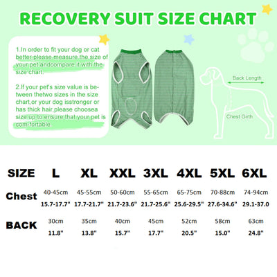 Body Post-Opératoire Chien Alternative Collerette Grande Taille
