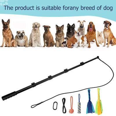 Flirt Pole Grand Chien Télescopique 150 cm 4 Jouets