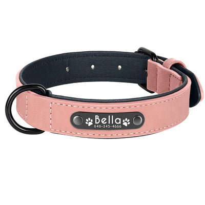 Collier Cuir Personnalisé Plaque Gravée Grand Chien