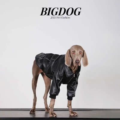 Manteau Biker Simili Zippé Coupe-Vent Gros Chien