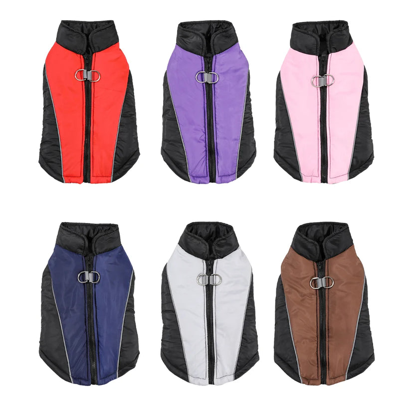 Manteau Chien Coupe-Vent Zippé Double Anneau Golden Retriever