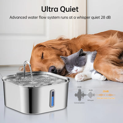 Fontaine à Eau Inox 7 L Silencieuse pour Gros Chien