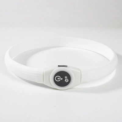 Collier LED Étanche Grand Chien